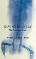 Saving Stanley: The Brickman Stories артикул 7276d.